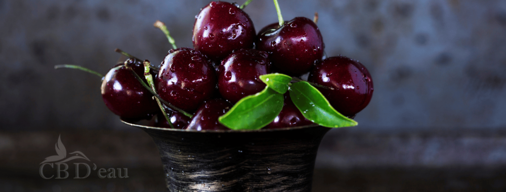 Infusion de Queue de Cerises