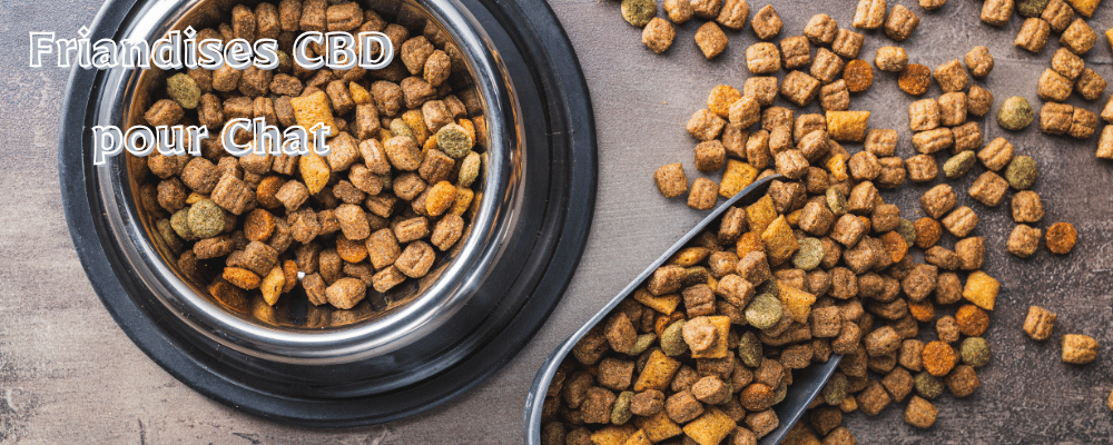 Friandises CBD pour Chat