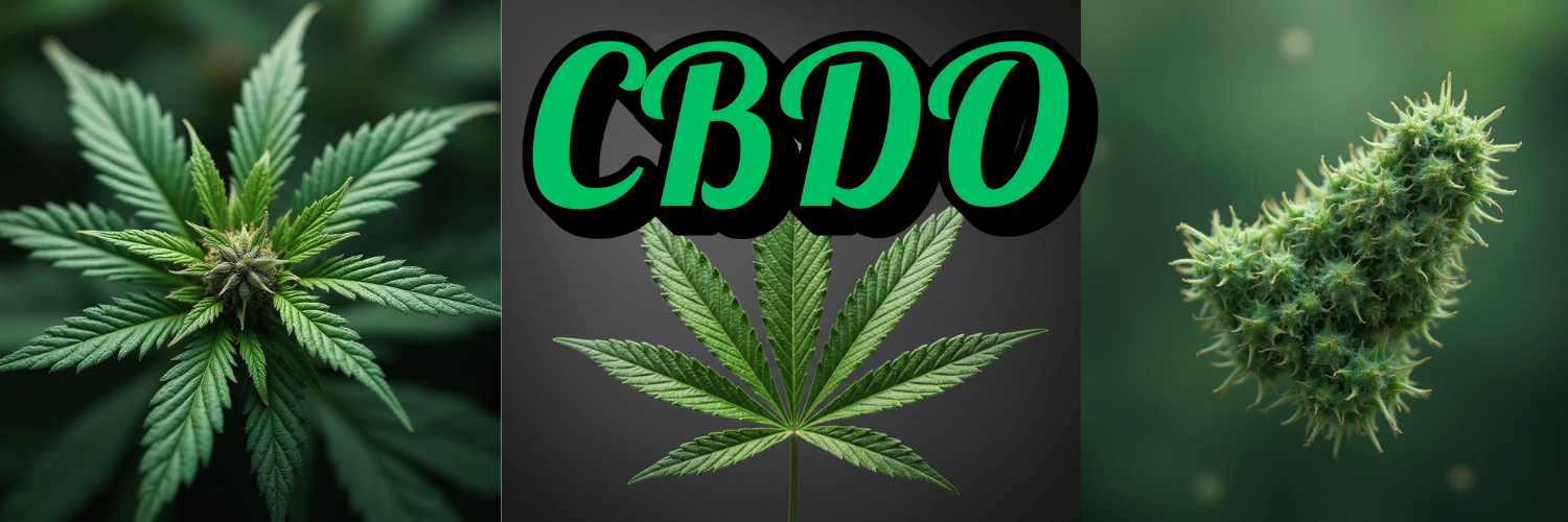 CBDO : Une nouvelle molécule dans l’univers du CBD