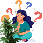 Les questions les plus fréquentes sur l’utilisation du CBD