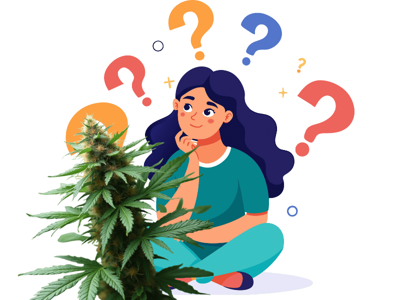 Les questions les plus fréquentes sur l’utilisation du CBD