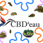 CBD en Ligne : Tout ce qu’il Faut Savoir Avant de Cliquer sur « Acheter »
