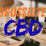CBD Shop en 2026 : Boutique, Buraliste ou Internet : Où Acheter son CBD en France ?