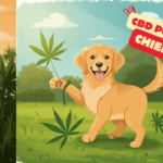 L’Impact Réel du CBD sur la Santé de Votre Chien : Guide Complet Vétérinaire, Dosage et Sécurité