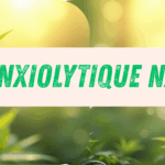 Anxiolytique Naturel : Le CBD Peut-il Vraiment Aider Contre l’Anxiété?