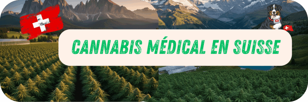 Cannabis Médical en Suisse : Vers une Révolution Européenne en 2026