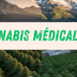 Cannabis Médical en Suisse : Vers une Révolution Européenne en 2026