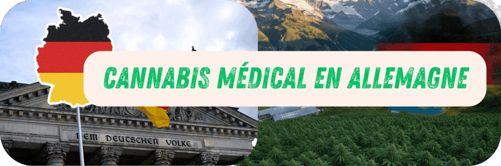 Cannabis Médical en Allemagne : Le Modèle Européen qui Révolutionne l’Accès aux Traitements