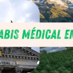 Cannabis Médical en Allemagne : Le Modèle Européen qui Révolutionne l’Accès aux Traitements