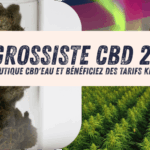 Grossiste CBD 2026 Ouvrez Votre Boutique CBD&rsquo;eau et Bénéficiez des Tarifs Kilogramme Toute l&rsquo;Année