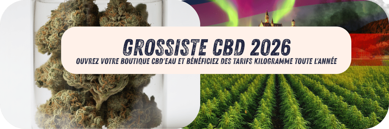 Grossiste CBD 2026 Ouvrez Votre Boutique CBD&rsquo;eau et Bénéficiez des Tarifs Kilogramme Toute l&rsquo;Année
