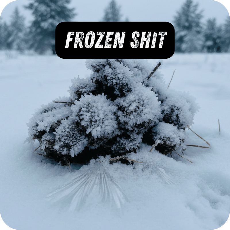 Frozen Shit : Tout Savoir sur Cette Variété Givrée qui Fait Sensation