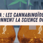 CBDA et CBGA : Les Cannabinoïdes Acides qui Révolutionnent la Science du Chanvre