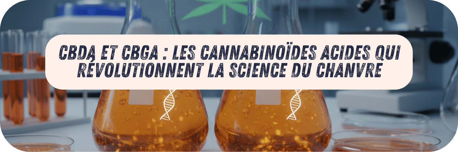 CBDA et CBGA : Les Cannabinoïdes Acides qui Révolutionnent la Science du Chanvre
