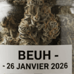 Fleurs CBD & beuh : mettre les choses au clair