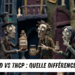 HHC vs CBD vs THCP : Quelle Différence en 2026 ?
