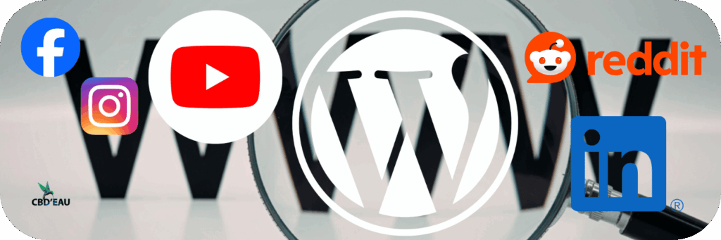 CBD&rsquo;eau en 2026 : bien plus qu&rsquo;une boutique CBD en ligne