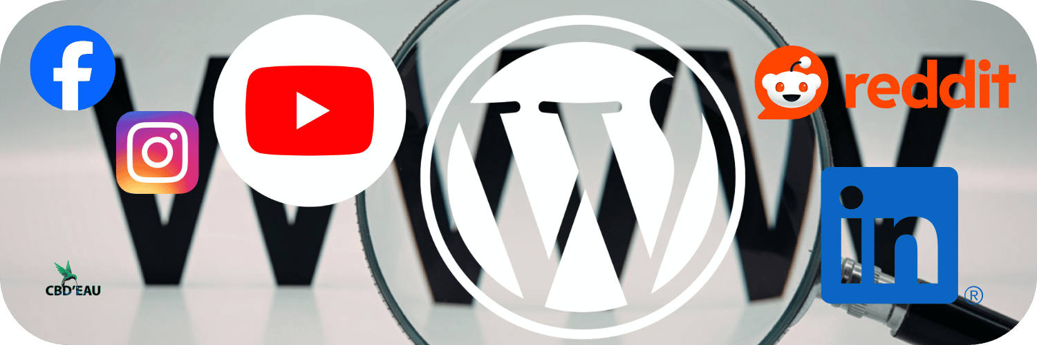 CBD&rsquo;eau en 2026 : bien plus qu&rsquo;une boutique CBD en ligne