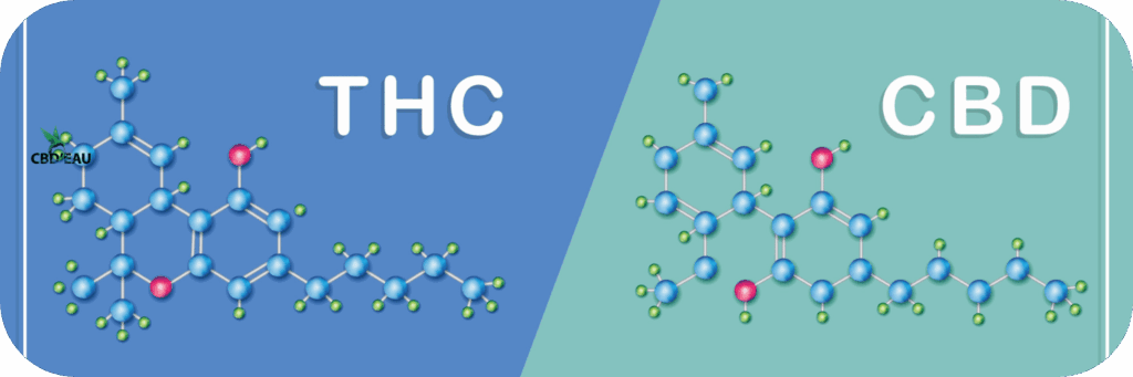 Test salivaire et CBD : peut-on être positif avec des produits légaux ?
