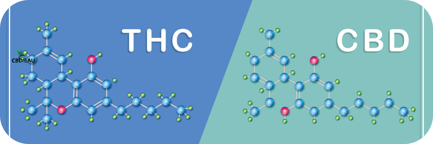 Test salivaire et CBD : peut-on être positif avec des produits légaux ?