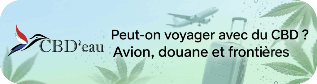 Peut-on voyager avec du CBD ? Avion, douane et frontières
