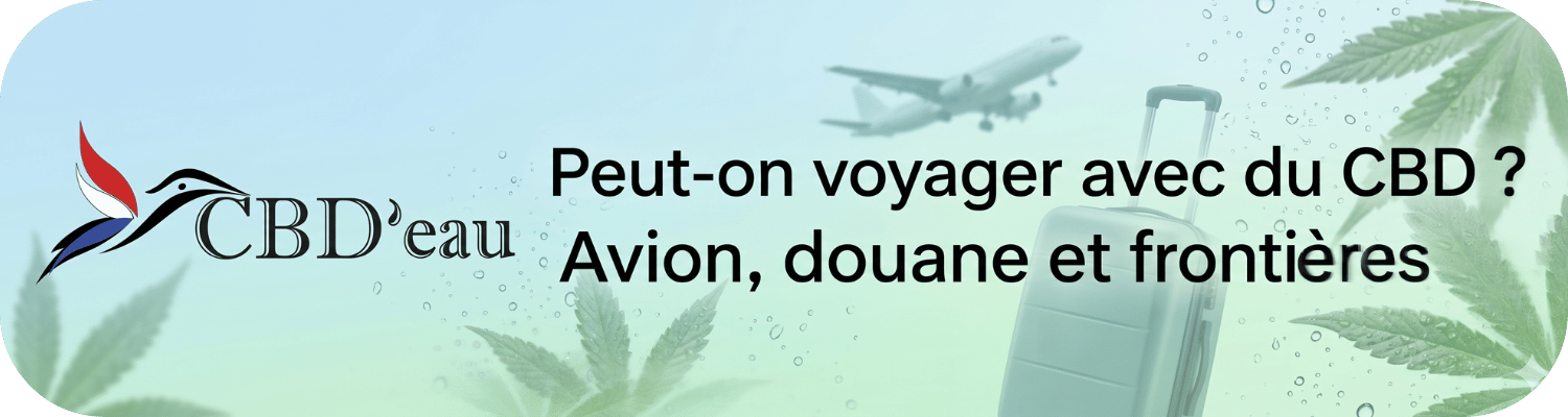 Peut-on voyager avec du CBD ? Avion, douane et frontières